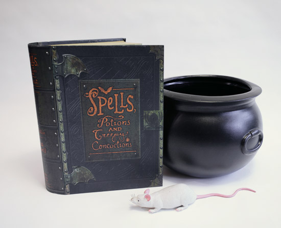 Witch's Spell Book, Cauldron and Mouse $20