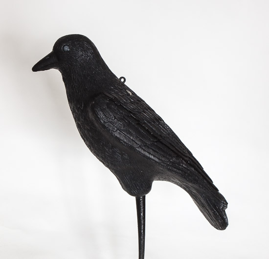 Plastic Ravens (2) $10 Pair