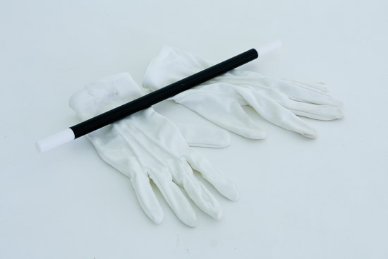Magicians Gloves and Wand $5