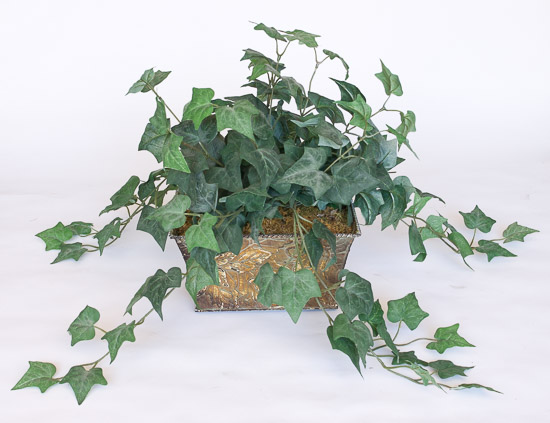 Ivy in Tin Planter $6