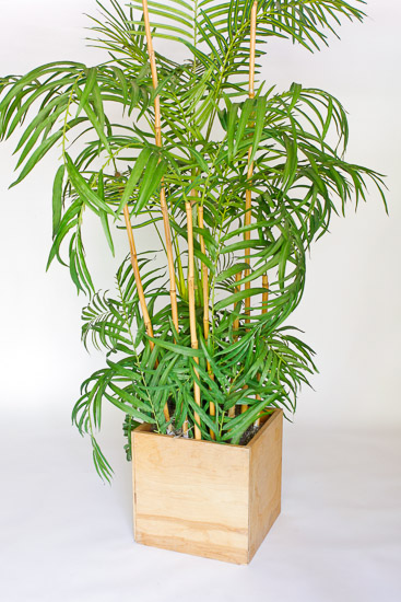 7' Bamboo/Palm $30