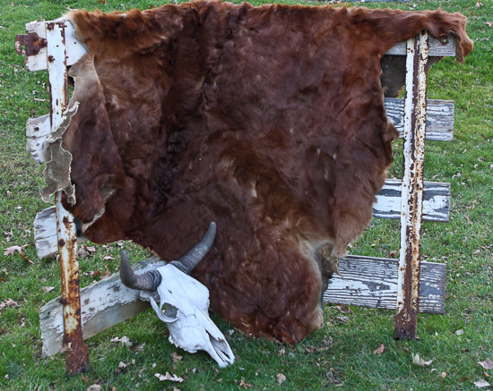 Cowhide, Fence & Cattle Skull $100